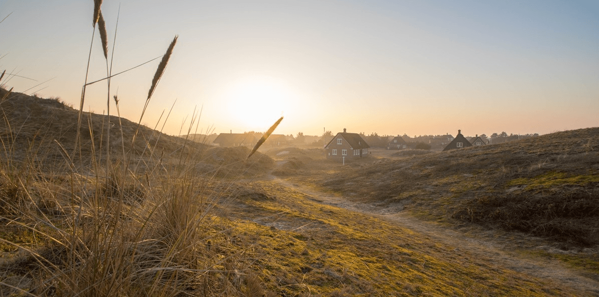 Sommerhäuser in den Dünen in Sønderho auf Fanø in Dänemark