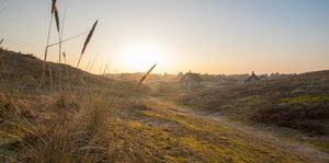 Sommerhäuser in den Dünen in Sønderho auf Fanø in Dänemark